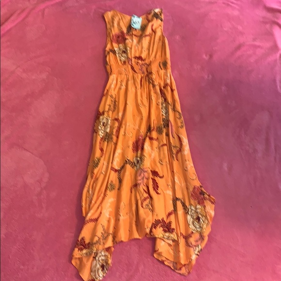 Anthropologie Nostalgia Floral Dress NWT Small - Picture 5 of 5